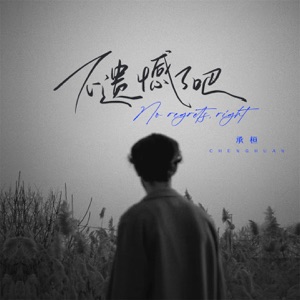 不遗憾了吧 - Single