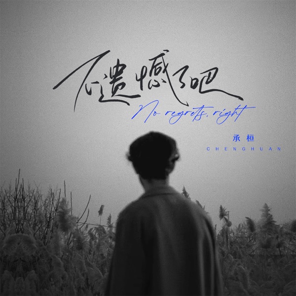 不遗憾了吧 - Single