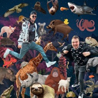 Zvířata - Single - Skardu, Pragoholik & KERSH