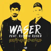 Don't Give Up On Me (feat. Robbie Rosen) [Extended Mix] — WASER