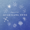 Auld Lang Syne - Sleeping At Last