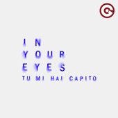 In Your Eyes (Tu Mi Hai Capito) artwork