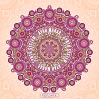 Wide Awake (Vip) [feat. Ayah Marar] - Single - Synth System