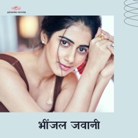 Bhinjal Jawani - Single - Pravin Singh