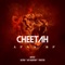 Cheetah (feat. Jay Kashyap) - Vardaat Music & Trixter lyrics