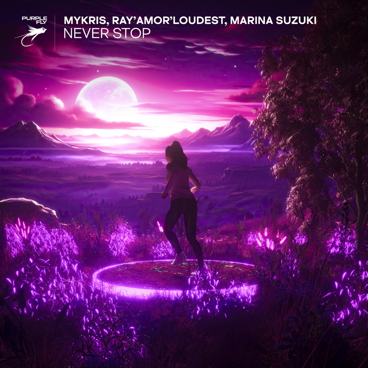 Never Stop - Single - Mykris, Ray'amor'Loudest & 鈴木マリナ