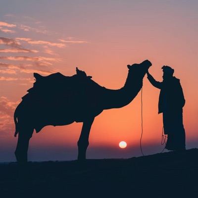Arabian Desert - Single