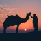 Arabian Desert - Obeidmusic lyrics