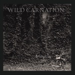 Wild Carnation - Acid Rain and "The Big One"