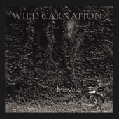 Wild Carnation - Wings