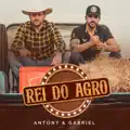 REI DO AGRO