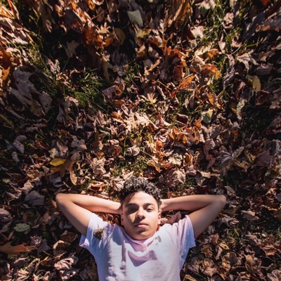 FADE (feat. lordeme) - Single