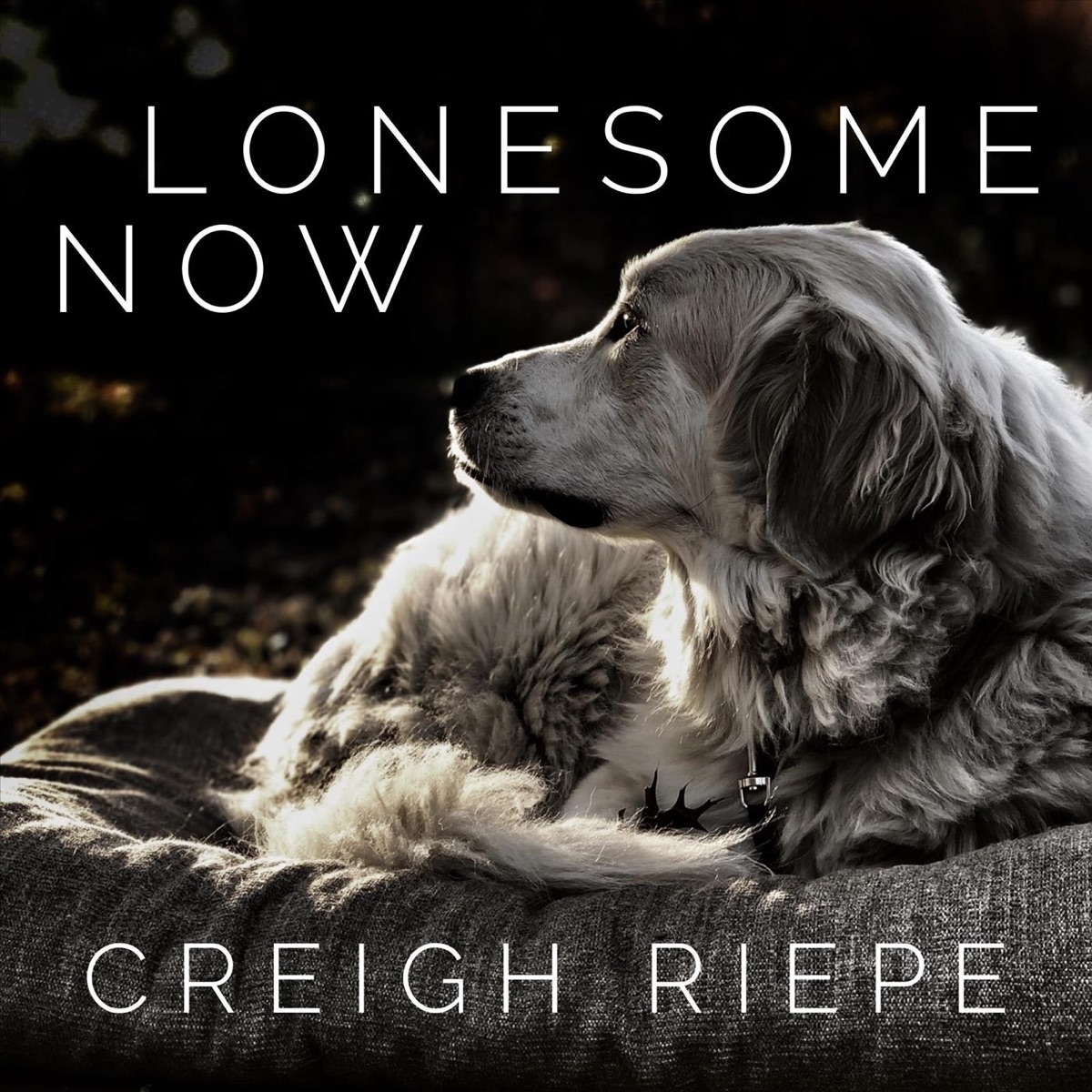 What Are You Doing Right Now? - Single - Album by Creigh Riepe