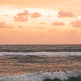 Ocean Mindfulness Raf21 & Human Is Alive