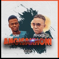 Angisakhoni (feat. Mordicai) - Single - Aceemoz