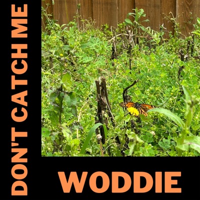 Don't Catch Me - Single