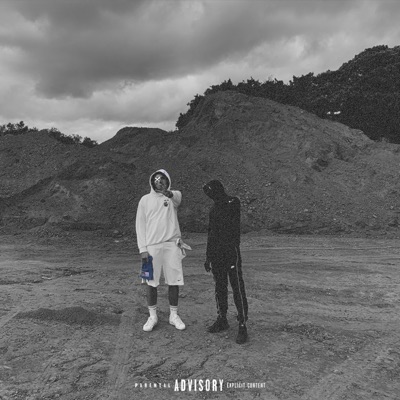 Grisaille (feat. Flimzy Flav) - Single