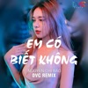 Em Có Biết Không (Remix) - Single