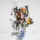A CHAOS OF FLOWERS cover art