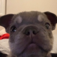 Idk :3 - Single - soulstbr