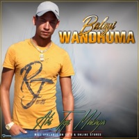 Bya Vila Vila - Single - Baloyi wa Ndhuma
