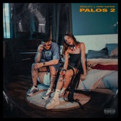 PaLos 2 artwork