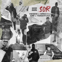 SOR (feat. Tarantuna, KRİZ & GOKO404) - Single - KEKE06
