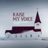 Raise My Voice (feat. Jierra) - Single