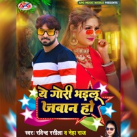 Ye Gori Bhailu Jawan Ho - Single - Ravindra Rasila & Neha Raj