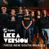These New South Whales