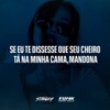 Se Eu Te Dissesse Que Seu Cheiro Tá Na Minha Cama, Mandona - Single