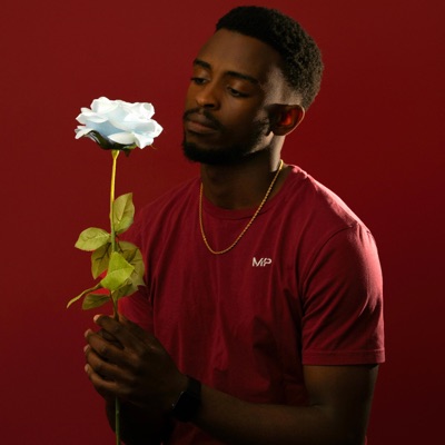 Stay - Single