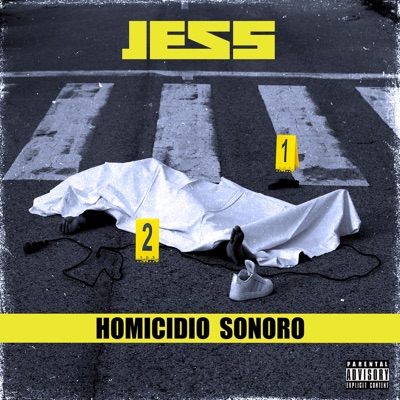Homicidio sonoro