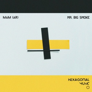 Mr. Big Smoke - Single