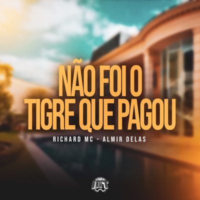 Não Foi o Tigre Que Pagou - Single
