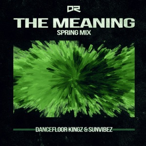 The Meaning (Spring Mix) - Single