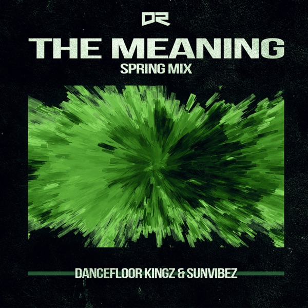 The Meaning (Spring Mix) - Single