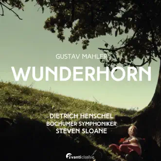 WUNDERHORN by Dietrich Henschel & Bochumer Symphoniker album reviews, ratings, credits