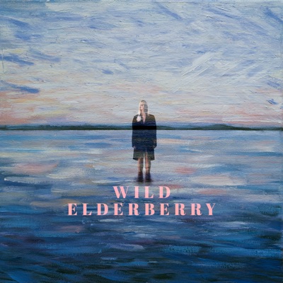 Wild Elderberry - Single