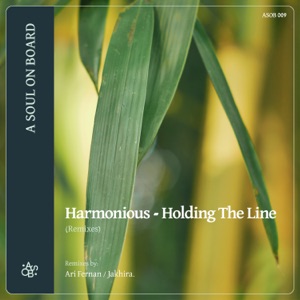 Holding the Line (Remixes) - Single