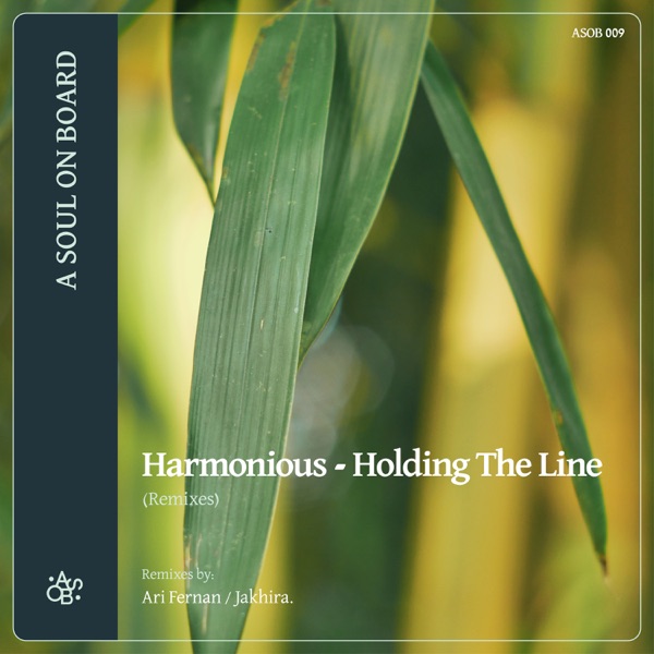 Holding the Line (Remixes) - Single