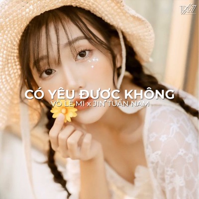 Có Yêu Được Không (Lofi) - Single