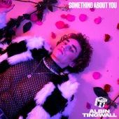 Something About You artwork