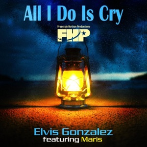 All I Do Is Cry - Single