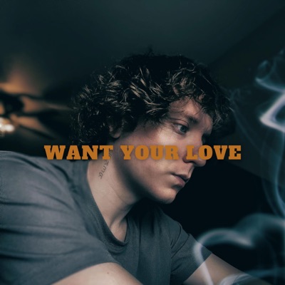 Want Your Love - Single