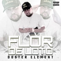 Flor De Loto - Single - doster elemental
