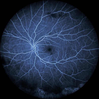 Pale Blue Eyes (feat. Kayla Smith) - Single