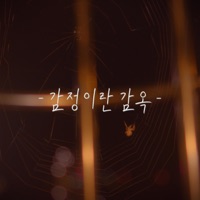 감정이란 감옥 - Single - Groove with me