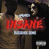 Insane (feat. Bussahoe Domo) - Single - AMGARCO