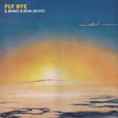 Fly Bye artwork